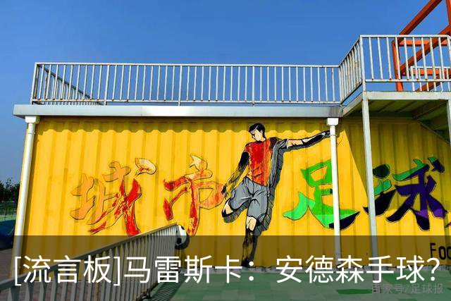 [流言板]马雷斯卡：安德森手球？不了解；替补席说桑德兰第2球越位了